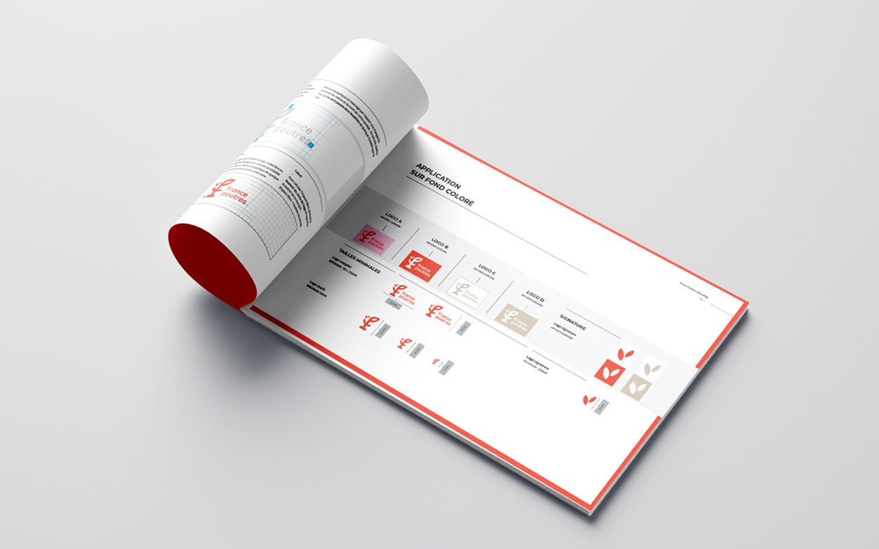 graphiste boutique en ligne